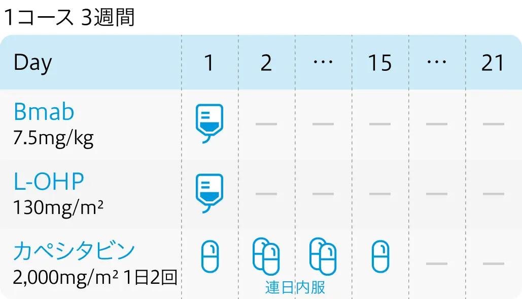 【専門医解説】オキサリプラチン併用療法における維持療法のタイミング