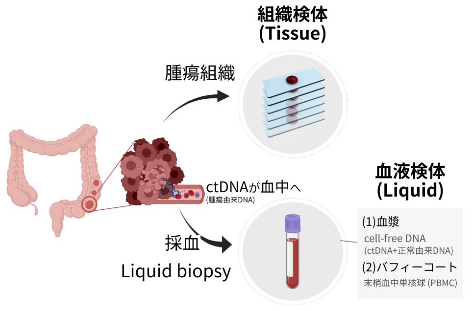 がん遺伝子検査で使用する検体：組織 vs 血液