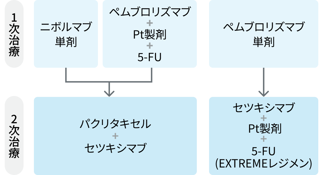 【頭頸部癌】2次治療選択の原則＆レジメン選択の実際