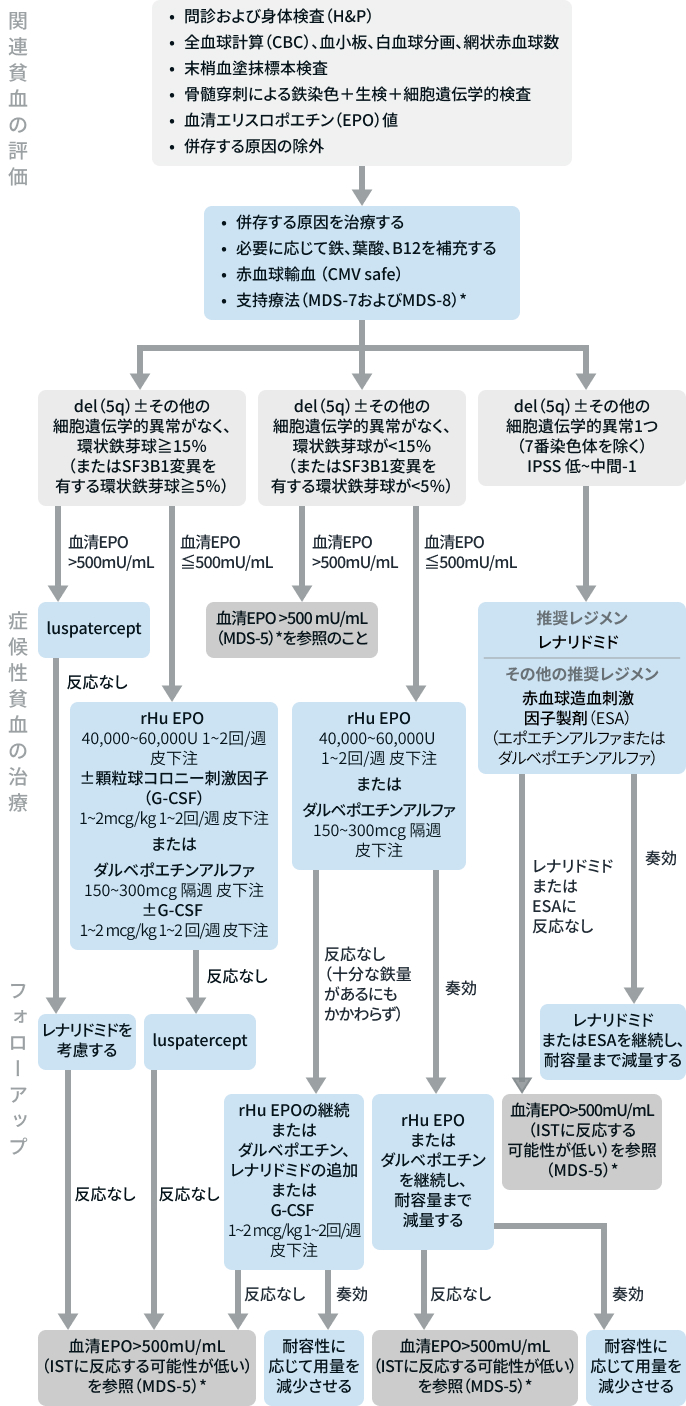 【NCCNガイドライン最新解説】骨髄異形成症候群