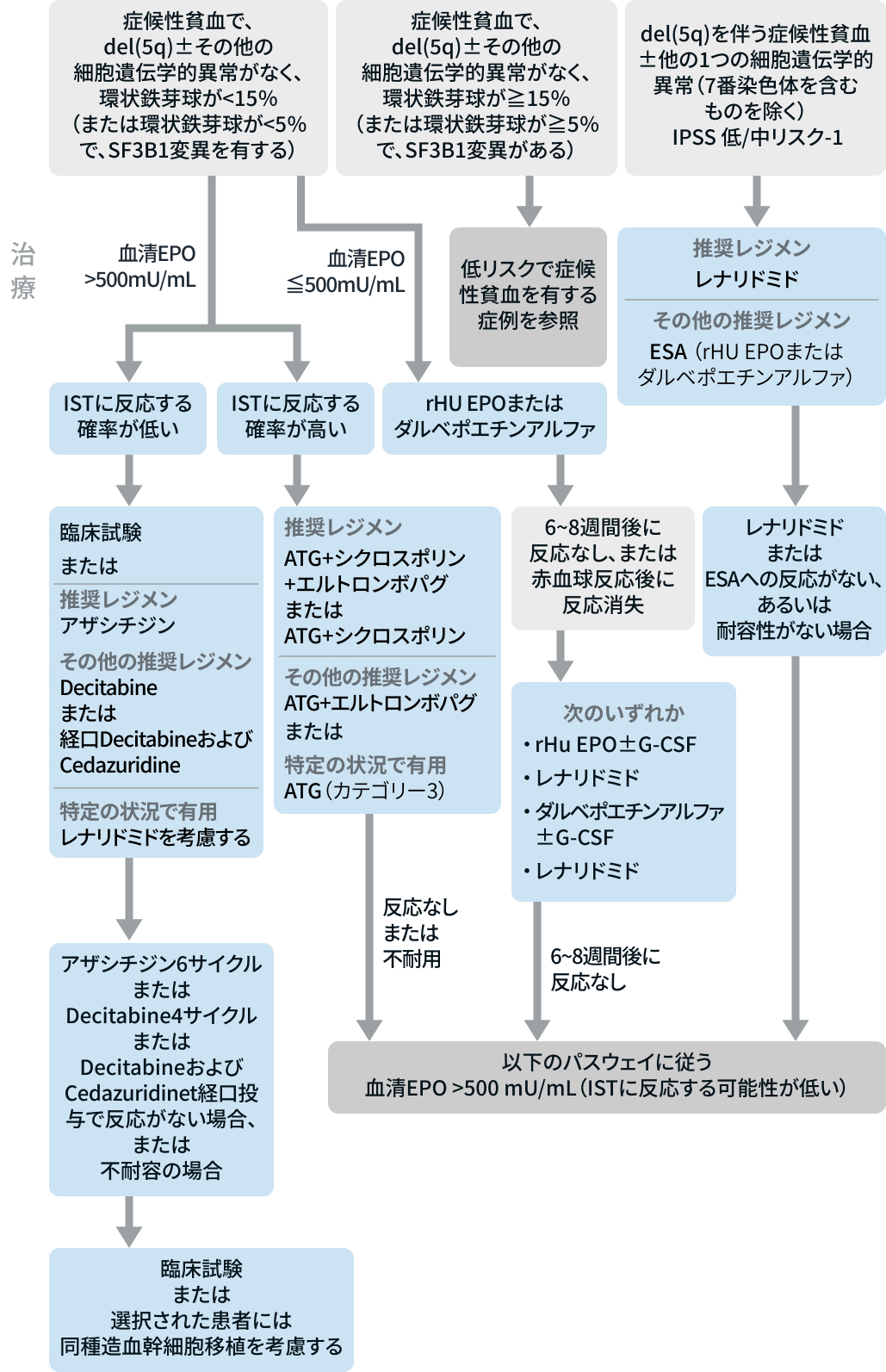 【NCCNガイドライン最新解説】骨髄異形成症候群