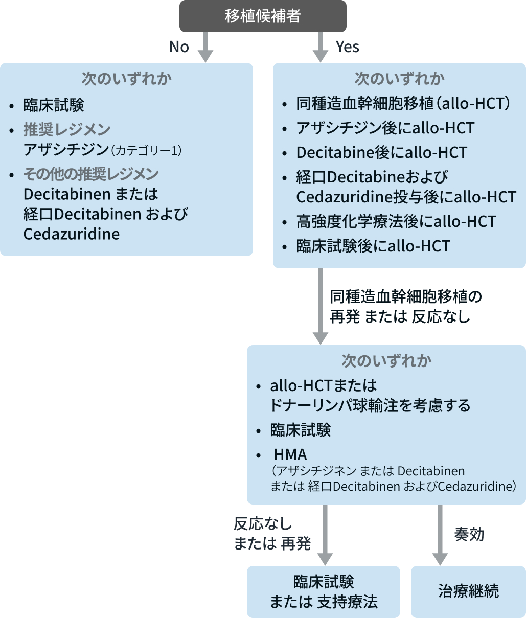 【NCCNガイドライン最新解説】骨髄異形成症候群