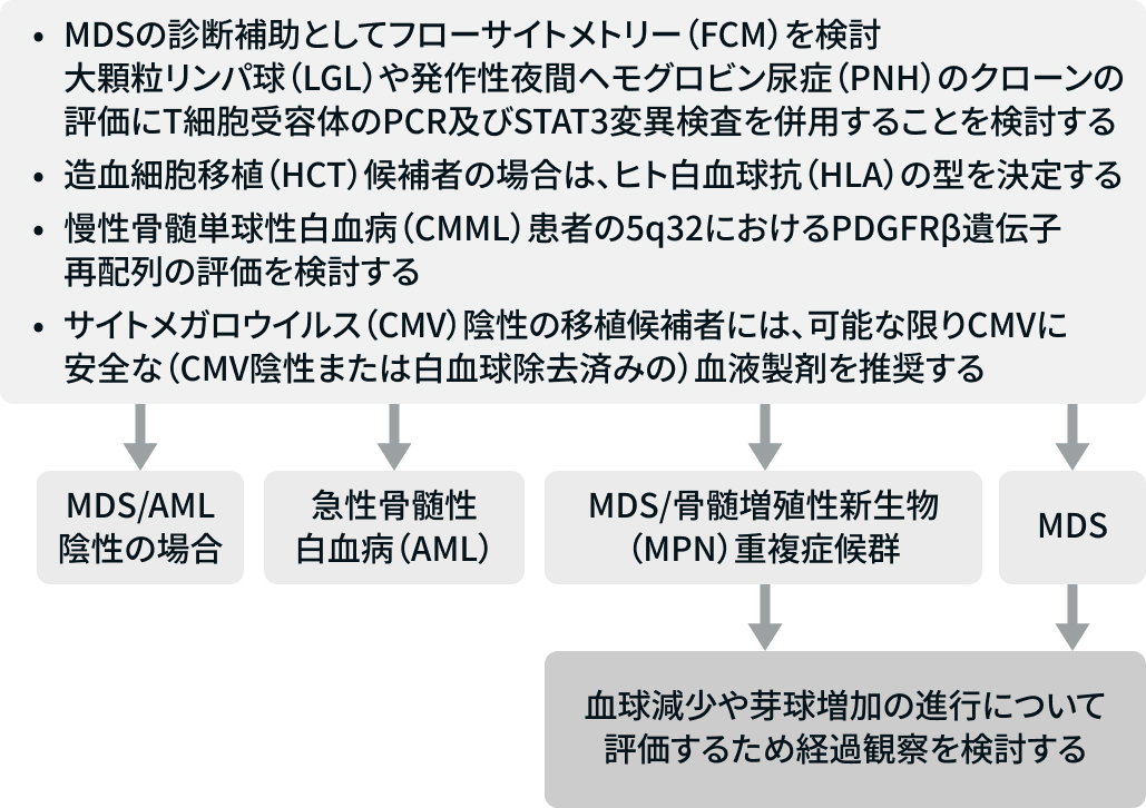 【NCCNガイドライン最新解説】骨髄異形成症候群