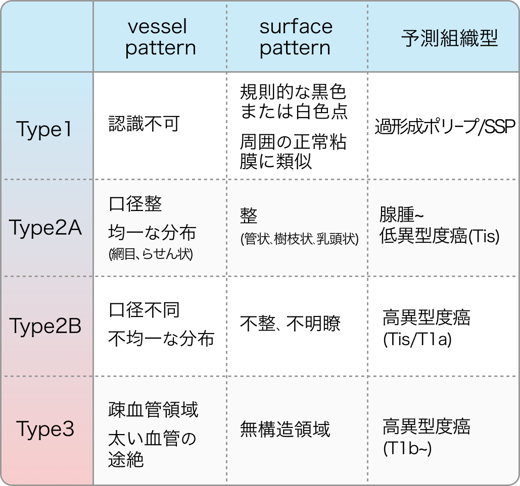 【JNET分類】大腸内視鏡拡大観察の所見 (消化器向けコンテンツ)