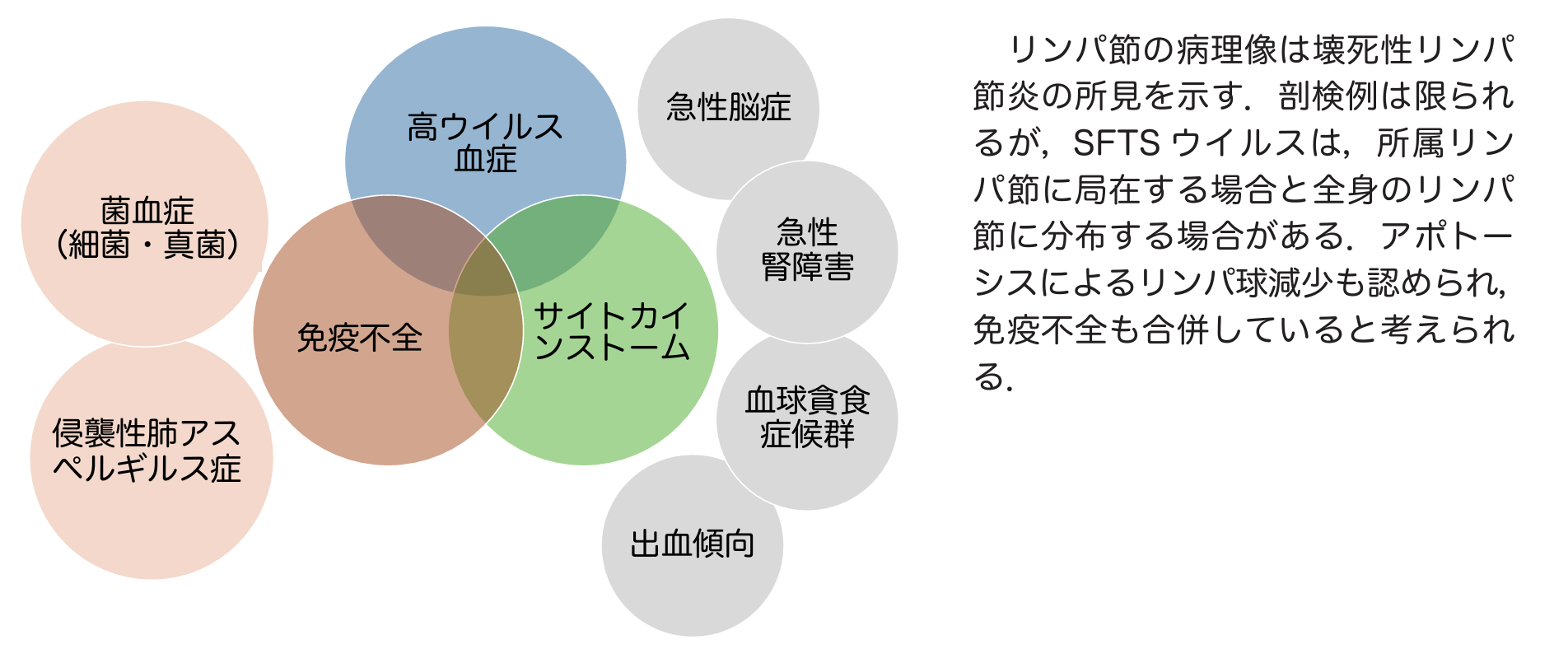 重症熱性血小板減少症候群 (SFTS) 診療の手引き2024年版､ 公開