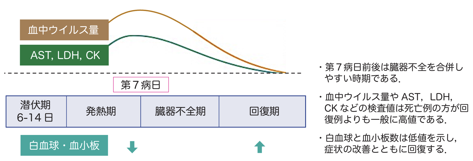 重症熱性血小板減少症候群 (SFTS) 診療の手引き2024年版､ 公開