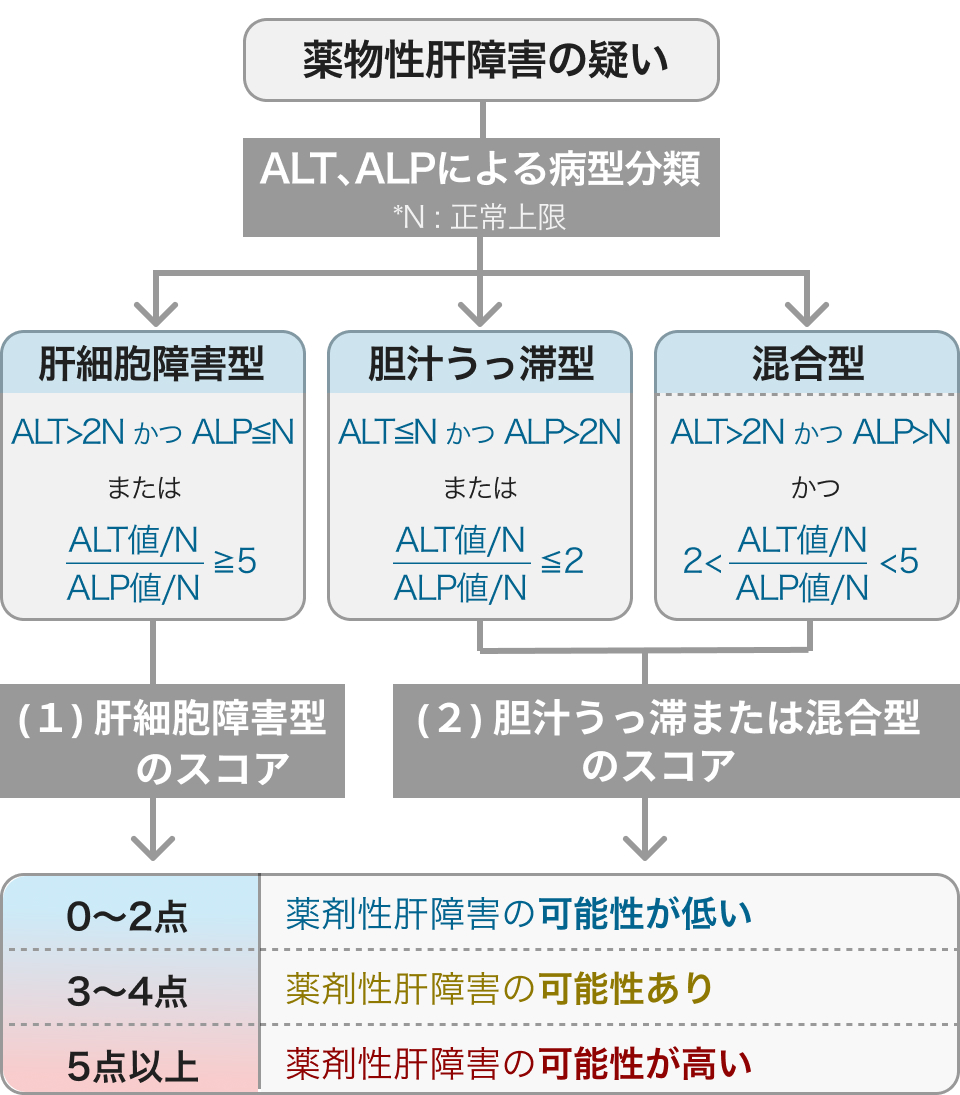 薬剤性肝障害の診断基準 -DDWJ 2004 ガイドラインと検査値異常-