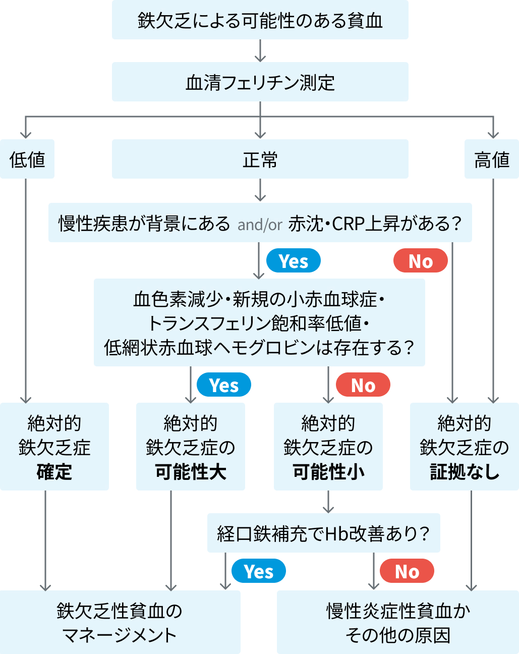 【要点】鉄欠乏性貧血を正しく診療する (淀川キリスト教病院血液内科 垣内誠司先生)