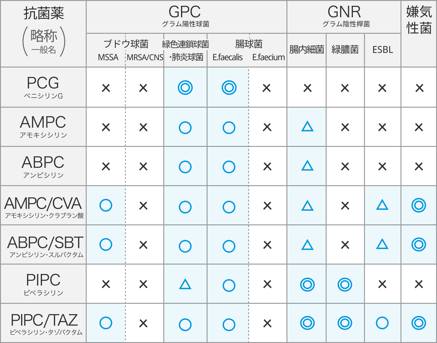 【抗菌薬ガイド】ペニシリン系抗菌薬の感受性スペクトラム一覧