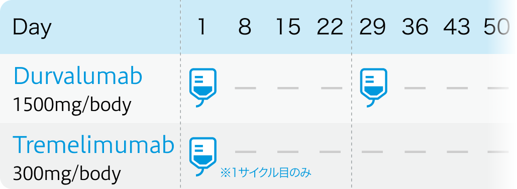 【肝細胞癌】Atzo+BevとDur+Trem､ どの症例に何を使う？