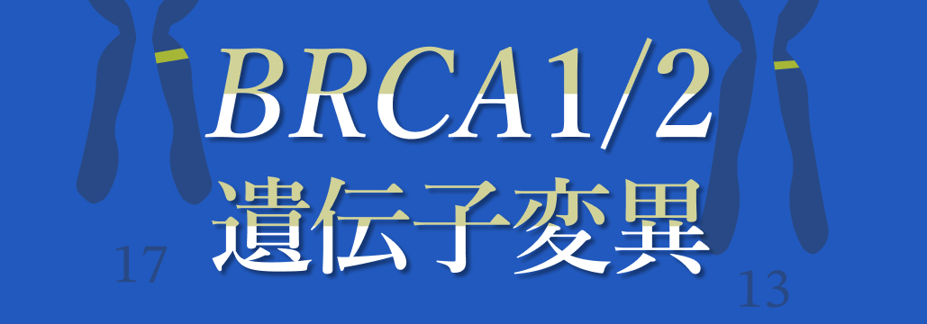 【特集】BRCA1/2遺伝子変異