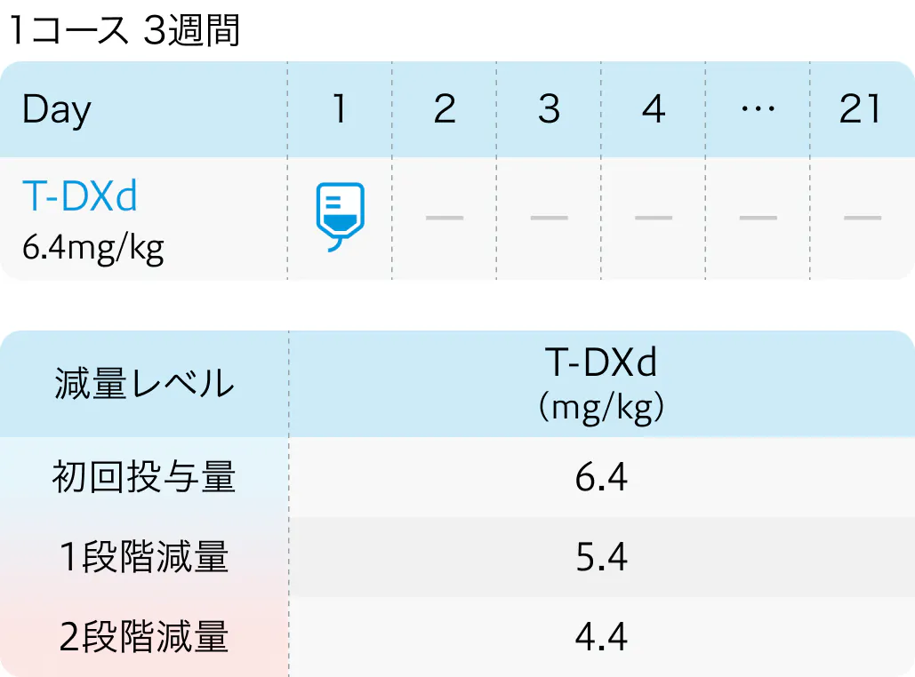 【消化器癌】2024年8月の関連論文Check up! HERALD､ DESTINY-CRC02など