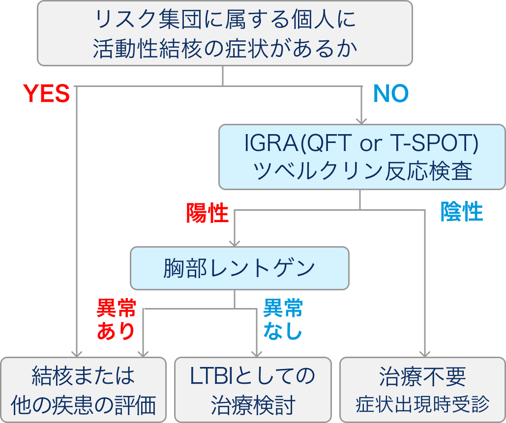 【専門医寄稿】潜在性結核のマネジメント (各ガイドラインの推奨比較)