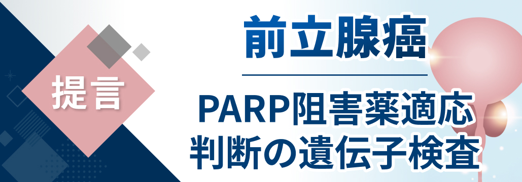 前立腺癌へのPARP阻害薬､ 遺伝子検査の至適運用に向け ｢提言｣ 公開 : 泌尿器科学会