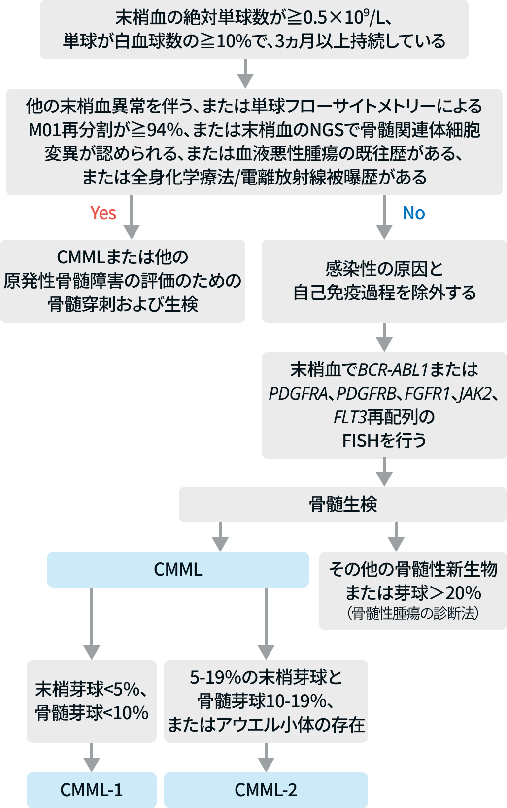 【総説】慢性骨髄単球性白血病 (CMML) の診断と治療