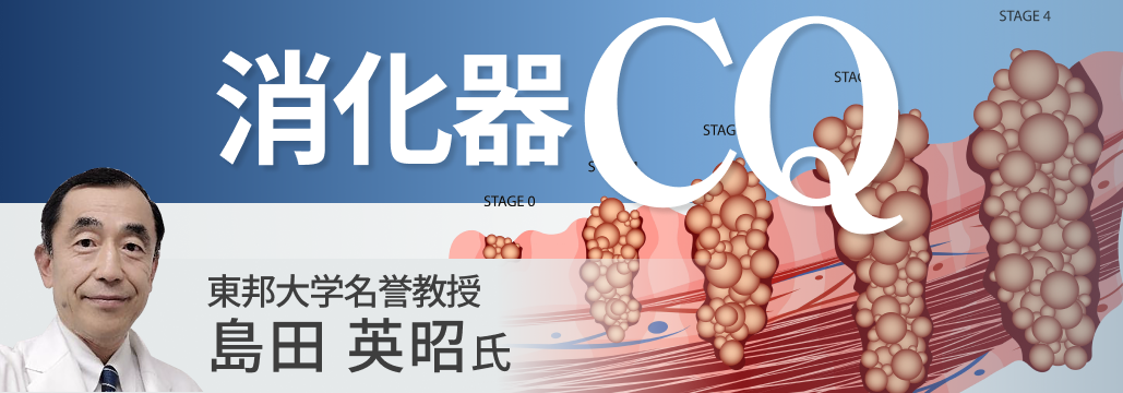 【胃癌アンケート】CPS 5以上かつCLDN18.2陽性進行胃癌の1次治療の選択は？(再調査)