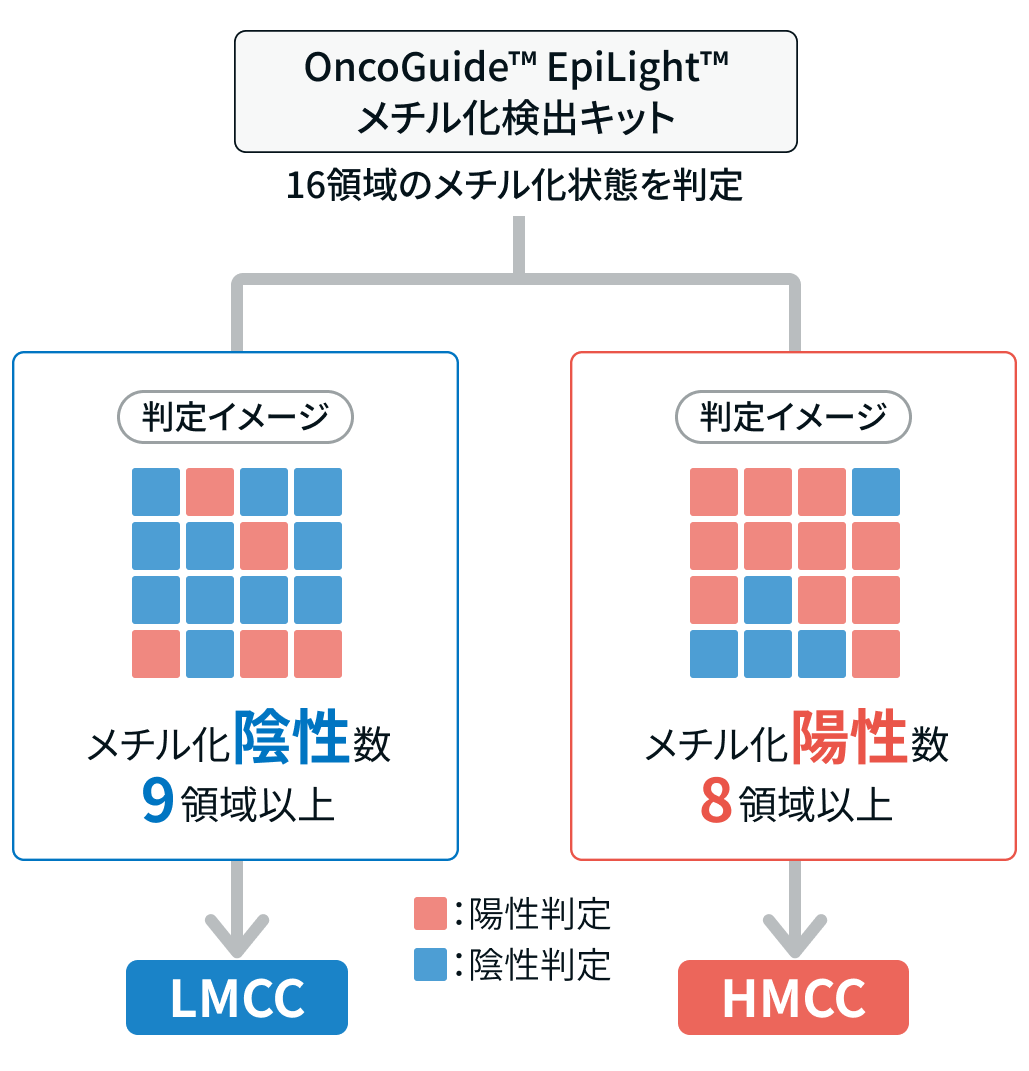 【専門医解説】エピゲノム診断で深化する、大腸癌の個別化医療