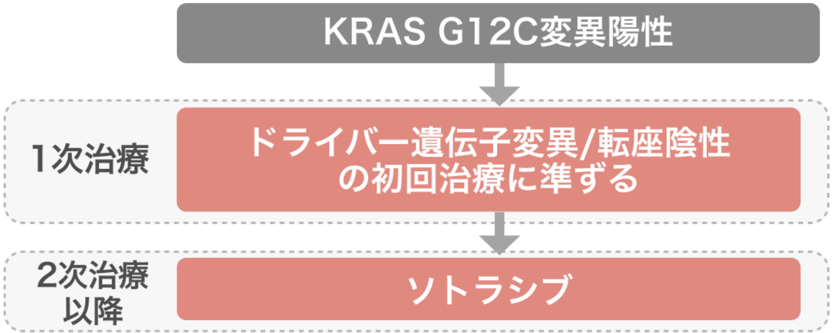 開発が進むKRAS阻害薬､ 期待される新薬は？