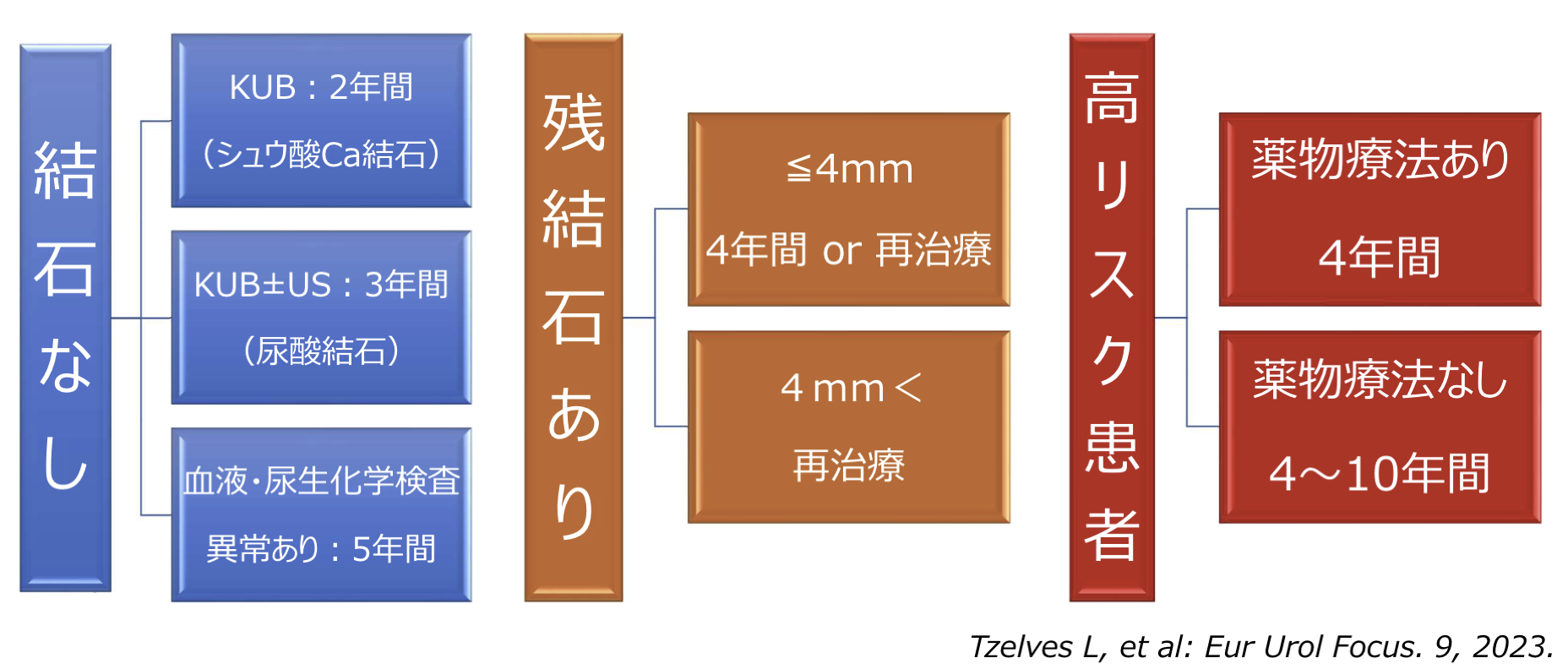 最新論文から見る尿路結石診療アップデート ~尿路結石症GL第3版後の報告~