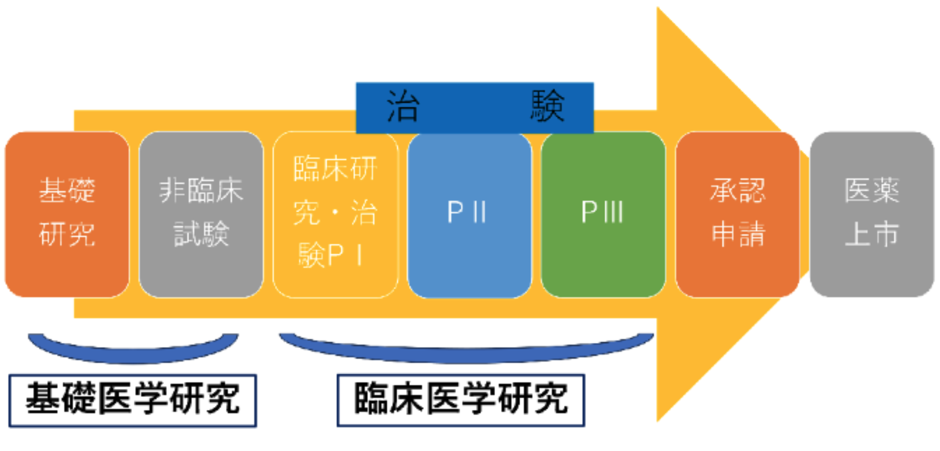 社会医学研究って何？ ｢基礎医学研究と臨床医学研究との違いと類似点は｣