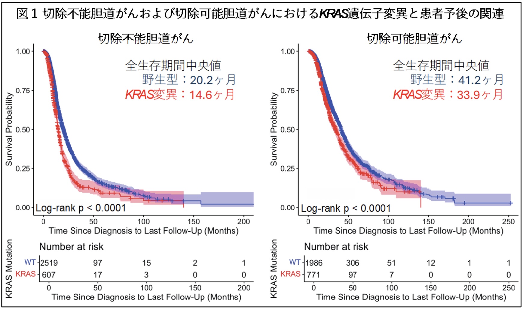 KRAS変異陽性が胆道癌の予後不良と治療抵抗性に関連 : 慶應大による大規模RWD解析