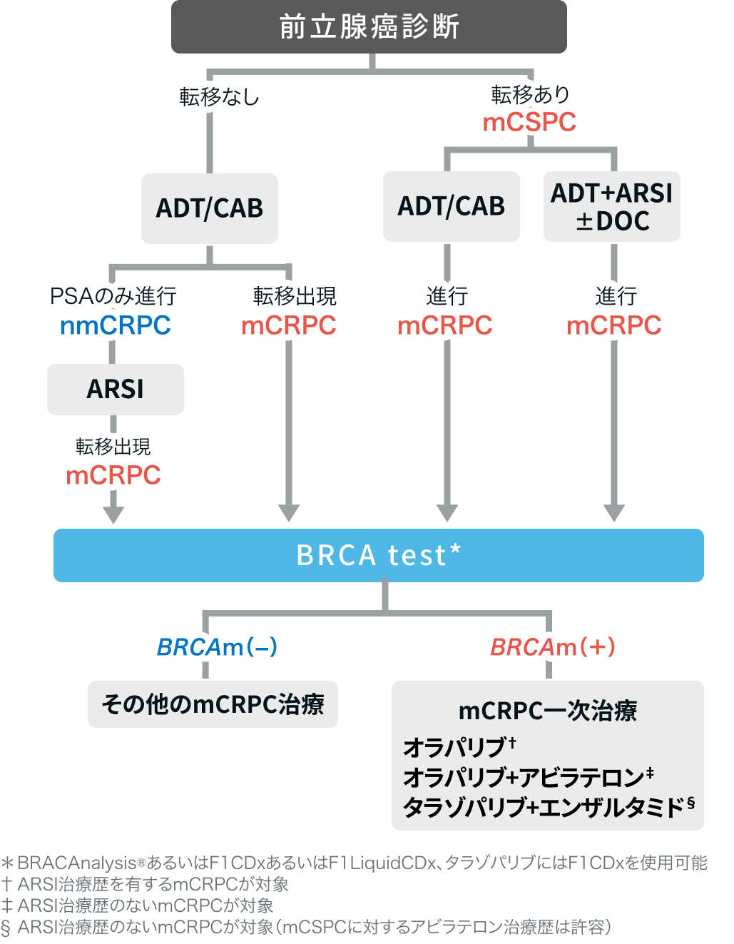 【解説】PARP阻害薬 + ARSIのシナジー効果 (日本泌尿器科学会 アップデートシリーズより)