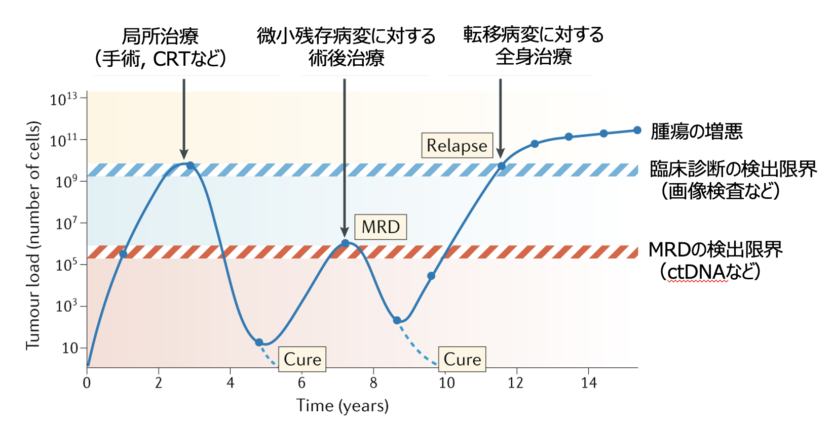 【注目キーワード】 微小残存病変 (MRD)とは？