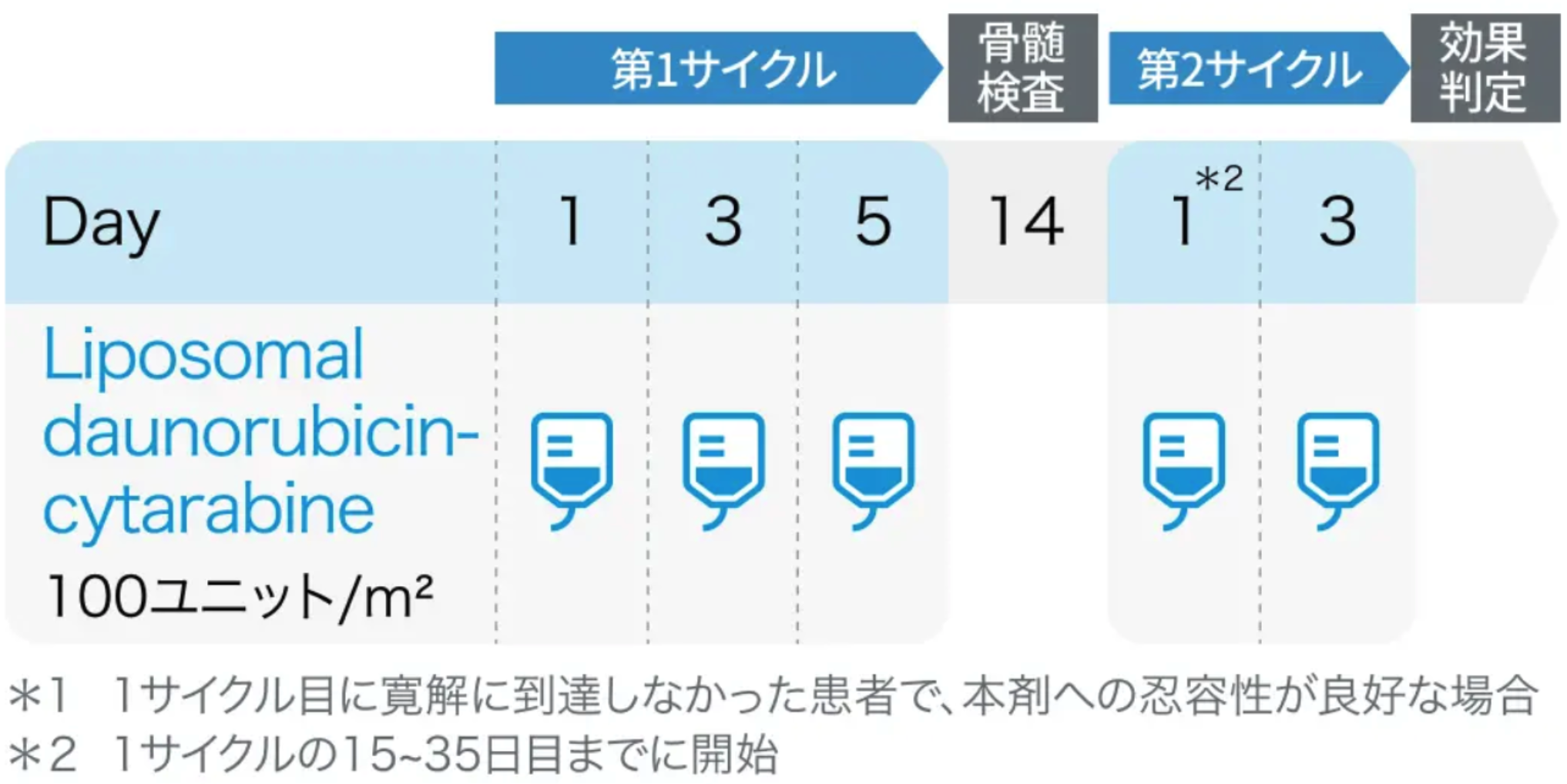 【AML編】造血器腫瘍診療ガイドライン2024年版 改訂ポイント