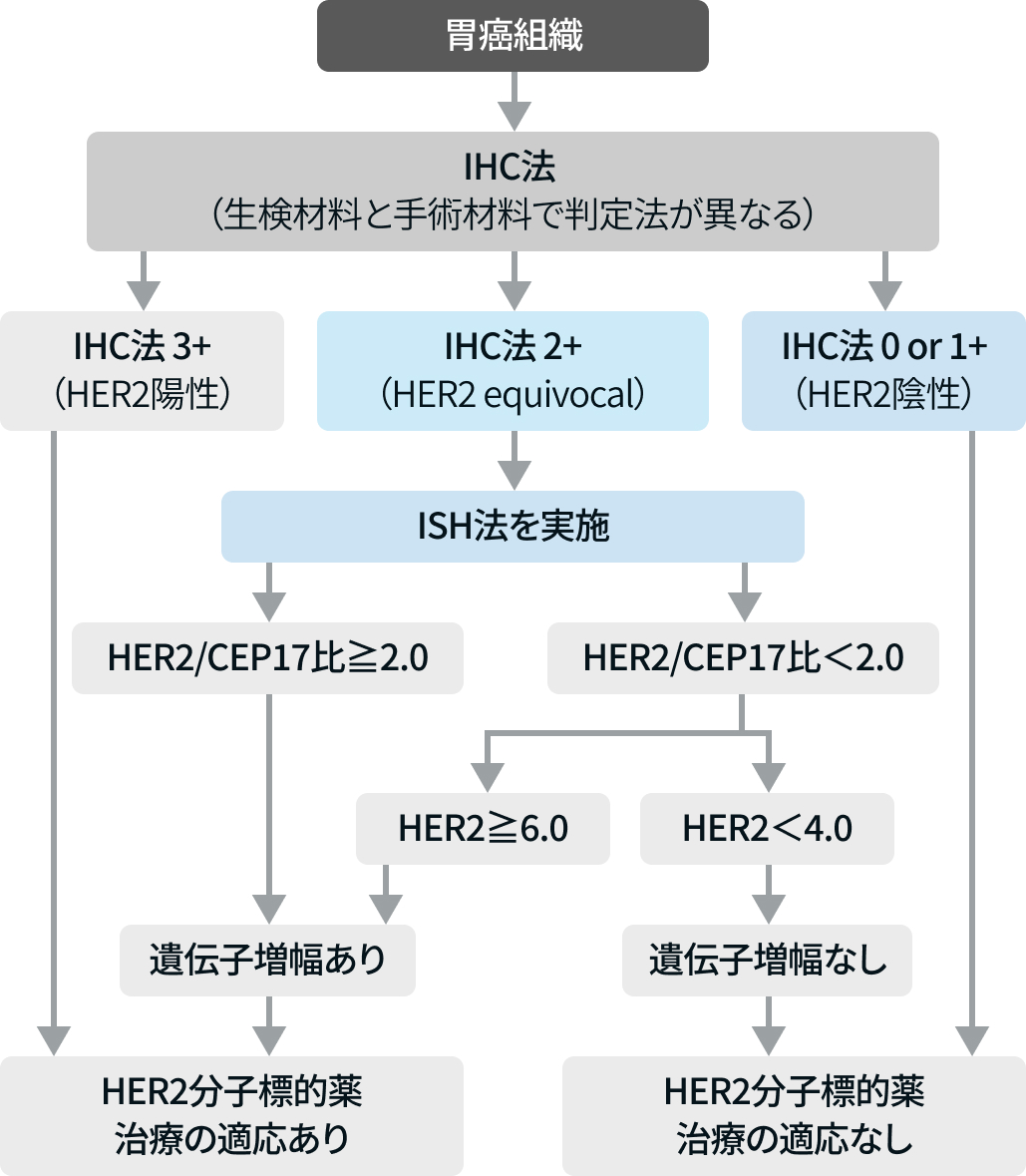 胃癌バイオマーカー検査 4つの比較 (検査の手引き 第1.1版より)