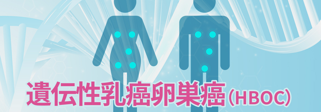  ｢遺伝性乳癌卵巣癌 (HBOC) 診療ガイドライン 2024年版 第3版｣ が発刊