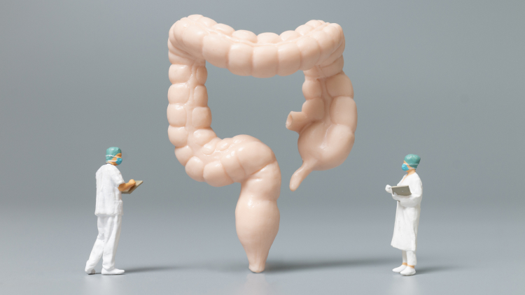 【BMJ】大腸手術の手術部位感染、抗菌薬経口投与で有意に減少