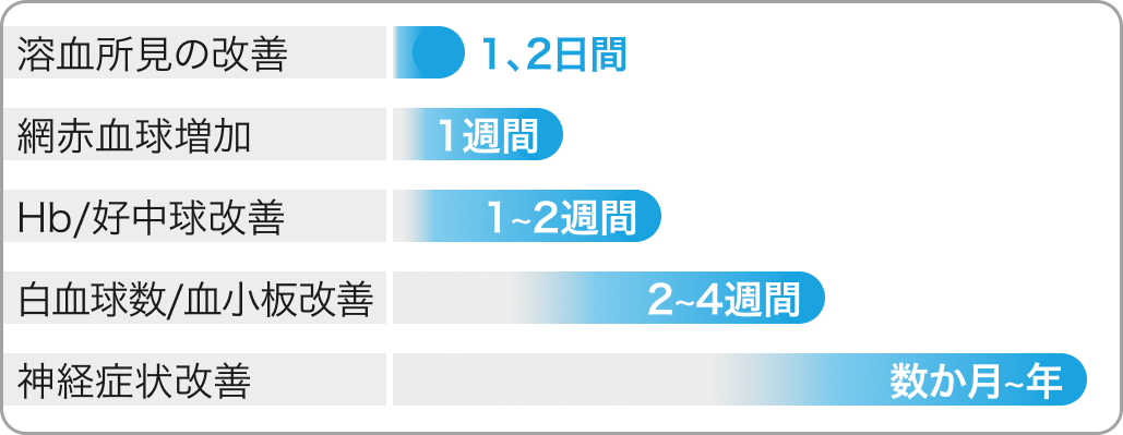 【もう迷わない！】貧血マネジメント⑤「大球性貧血」(聖路加 藤野先生)