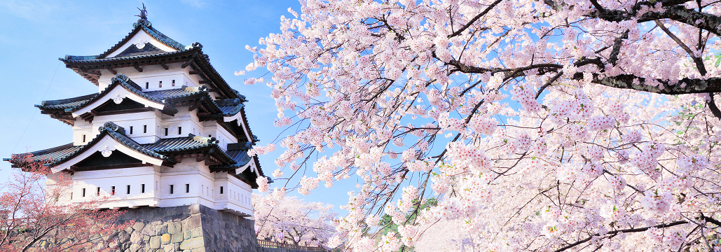 弘前大学病院､  新病院長に横山教授