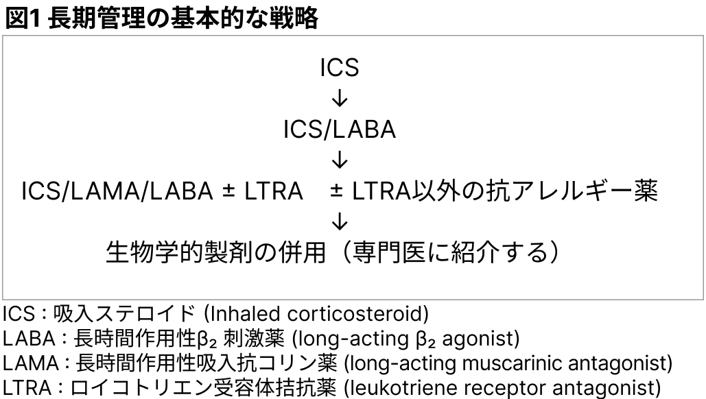 【特集：気管支喘息】気管支喘息の長期管理のトレンド（中島啓先生）