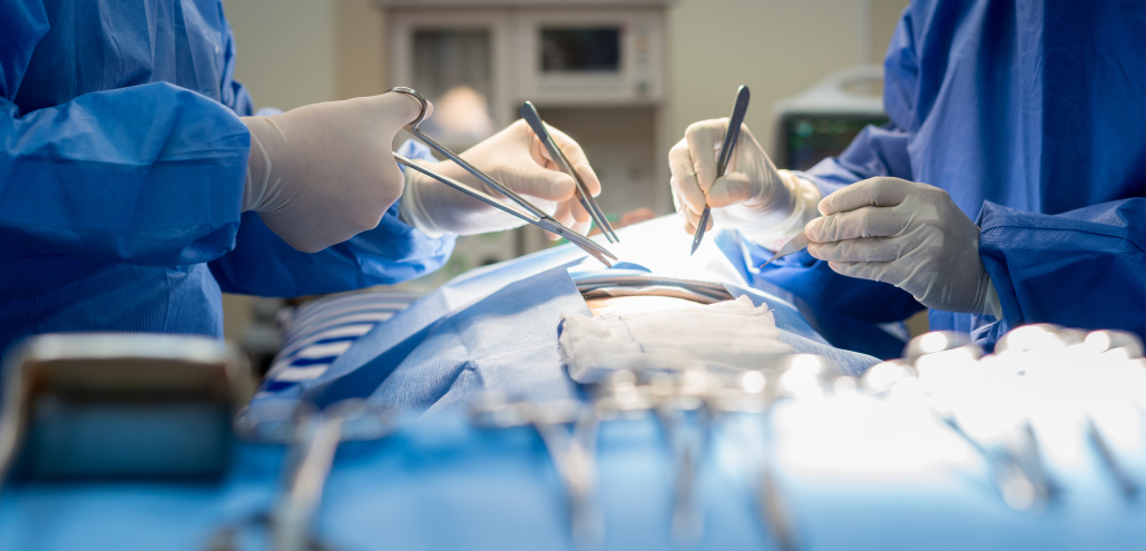 2024年 HOKUTO通信TOP10