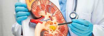 【NEJM】IgA腎症､ 新規BAFF/APRIL二重阻害薬で蛋白尿59%減を達成
