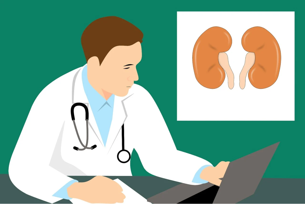 【NEJM】ブタ–ヒト間の腎臓異種移植を行った2症例の結果、 超急性拒絶反応は起きず