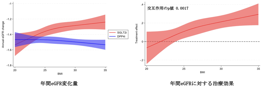 【Eur Heart J Cardiovasc Pharmacother】SGLT2阻害薬の腎保護効果､ BMI高値で顕著