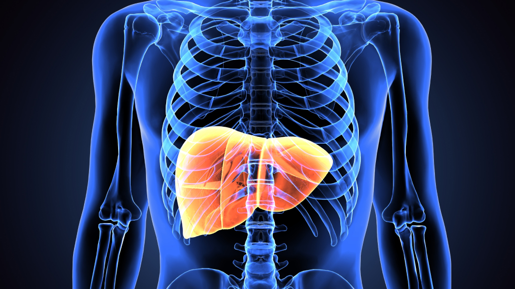【NEJM】D型肝炎新治療､ tobevibart+elebsiran併用でウイルス抑制が顕著