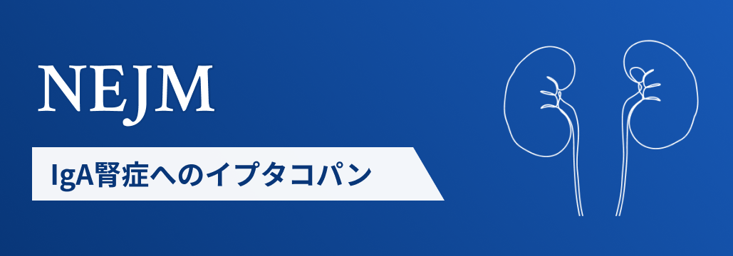 【NEJM】IgA腎症にイプタコパン､ 腎不全リスク43%減 (24ヵ月最終解析)