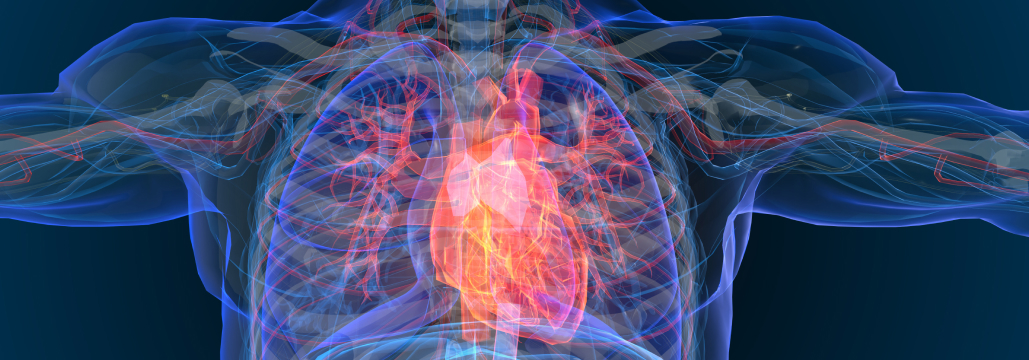 【Lancet】AI聴診器､ 心不全診断率は向上せず