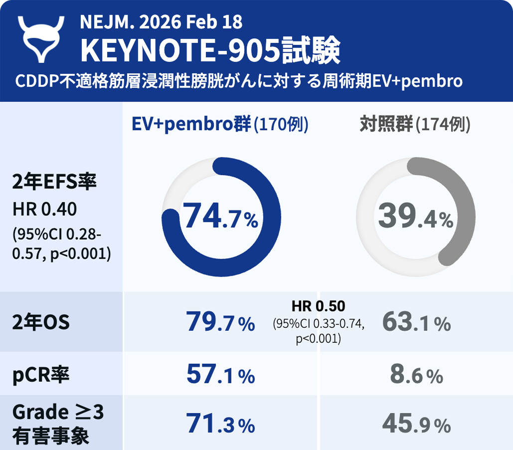 【NEJM】筋層浸潤性膀胱癌､ 術前後のEV+pembroで予後を大幅改善