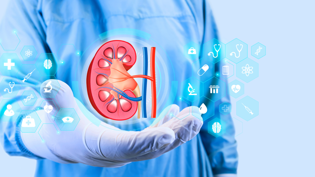 【NEJM】IgA腎症への新規治療薬ataciceptで蛋白尿を大幅減少 : 第Ⅲ相ORIGIN 3