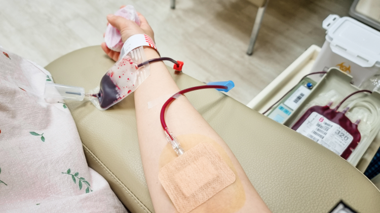 【NEJM】輸血ドナーの性別、受血者の生存率には影響せず