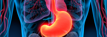 【NEJM】zanidatamab､ HER2陽性胃食道腺癌1次治療でOS改善