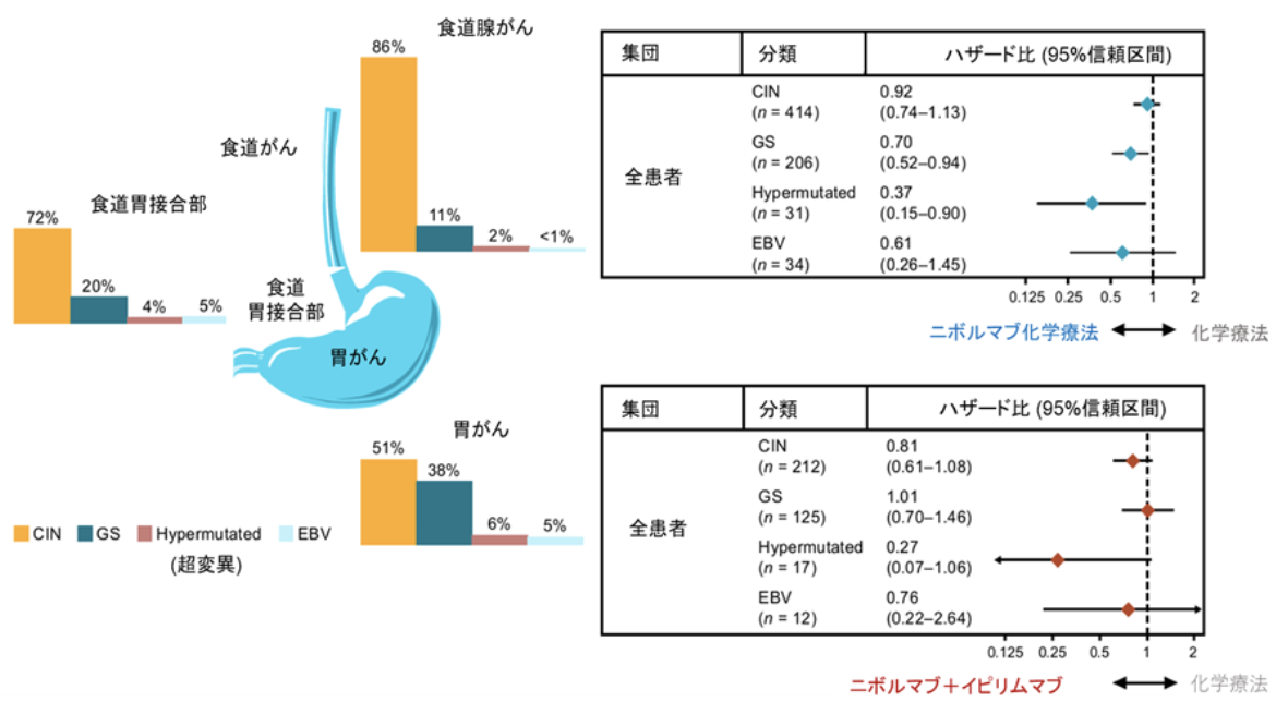 【Nat Med】胃食道腺癌へのニボルマブ併用療法､ バイオマーカーが示唆 : CM 649試験