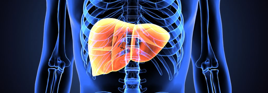 【Lancet】MASH治療薬ION224､ 第Ⅱ相試験で組織学的改善を示す