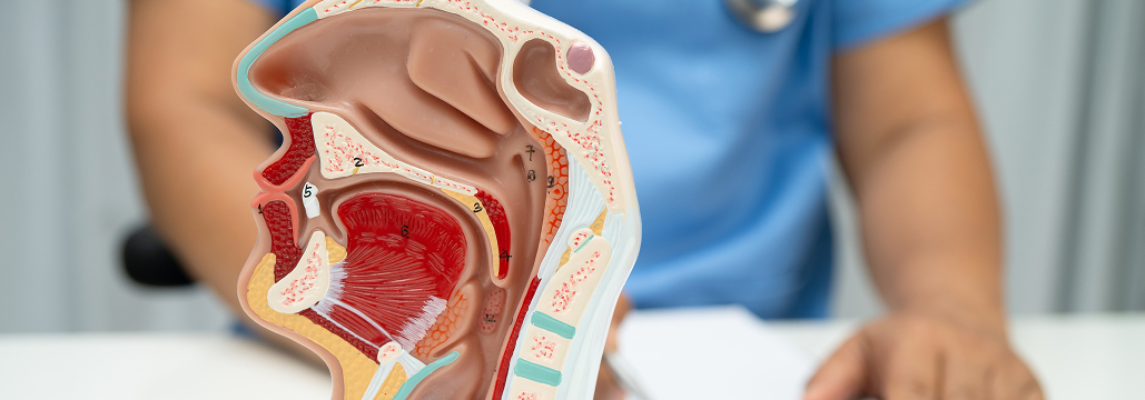 【Lancet】高リスク頭頸部癌の術後､ ニボルマブ追加でDFS改善 :  第Ⅲ相試験