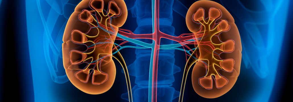 【Lancet】巣状分節性糸球体硬化症に新規TRPC6阻害薬で蛋白尿減少