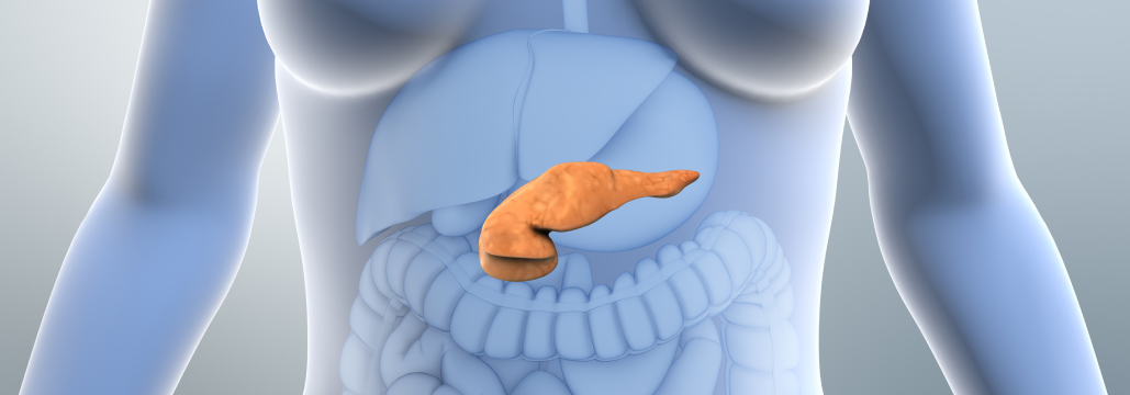 【Cancer】膵癌にケトジェニック食､毒性増加なくPFS改善か